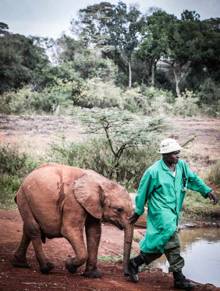 Musiara - GALLERY.jpg